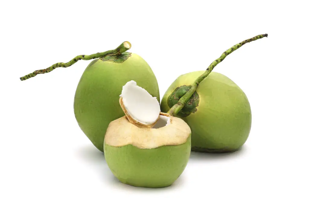 Tender Coconut Malai